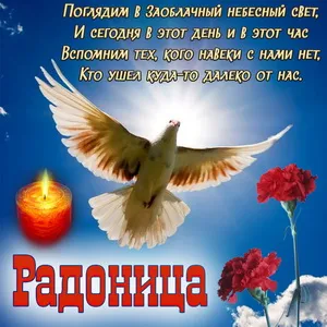 Открытка Радоница - Голубь и красные розы на фоне свечи | Красивая открытка #3