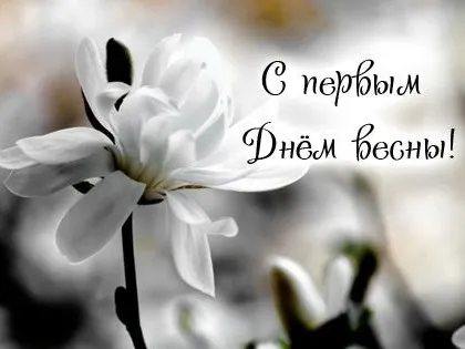 Открытка  С первым днем весны - Черно-белая открытка с цветком | Красивая открытка #88