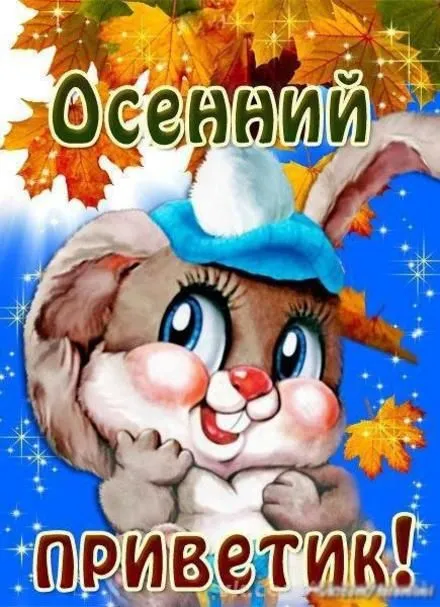 Открытка Осенний приветик - Открытка с милым зайчиком в голубой шапке | Красивая открытка #51