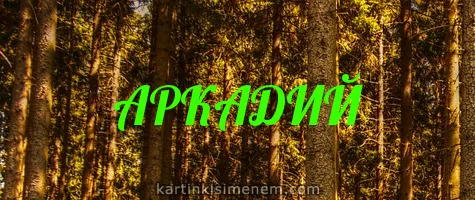 Открытка открытки с именем Аркадий  - Открытка с хвойным лесом | Красивая открытка #109