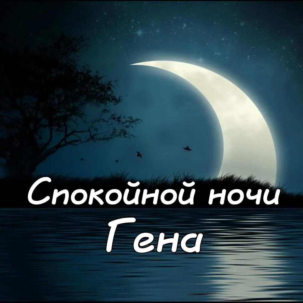Открытка открытки с именем Геннадий - Открытка: Ночное небо с луной и птицами | Красивая открытка #143