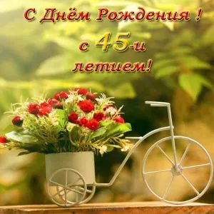 Открытка Открытки на 45 лет - Открытка с цветами в велосипедной корзинке | Красивая открытка #83