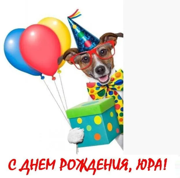 Открытка Открытки с именем Юрий - Собака в колпаке с подарком и шарами | Красивая открытка #258