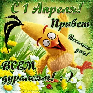 Открытка 1 апреля день смеха - Открытка с цыпленком на лугу | Красивая открытка #1