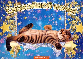 Открытка Открытки с пожеланиями на ночь - Котенок на качелях: открытка с добрым утром | Красивая открытка #160