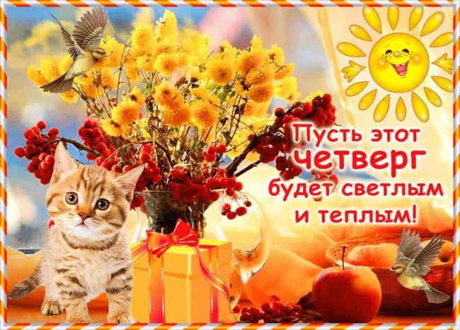 Открытка С четвергом - Котенок с подарком на фоне осеннего леса | Красивая открытка #22