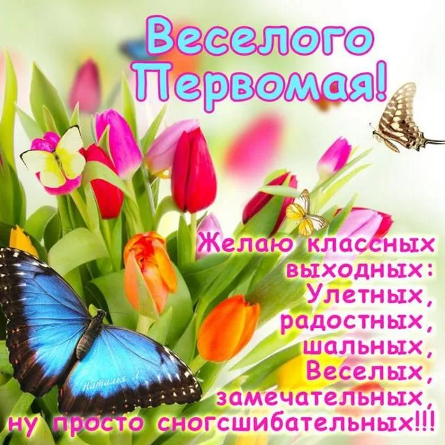 Открытка 1 мая - Открытка с бабочками и цветами: Поздравления с праздником | Красивая открытка #75