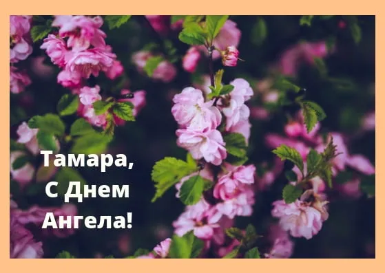 Открытка С днем ангела Тамара - Цветущая вишня: поздравление с Днем  Открытка | Красивая открытка #3