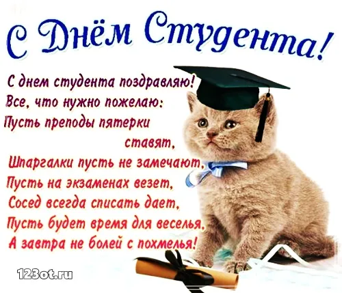 Открытка открытки на день студента  - Поздравление с Днем студента: смешная открытка с котиком | Красивая открытка #42