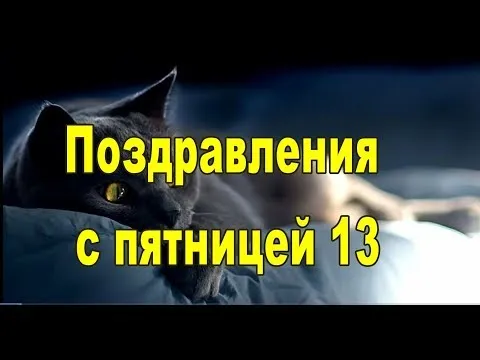 Открытка Открытки на пятницу 13 - Открытка с котом: поздравления с праздником | Красивая открытка #103