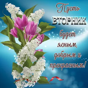 Открытка Открытки на вторник - Открытка с цветами: белые соцветия и розовые розы | Красивая открытка #182