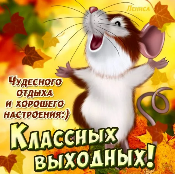 Открытка Выходные - Забавная открытка с белкой и осенними листьями | Красивая открытка #22