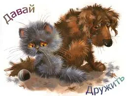 Открытка Открытки давай дружить - Две открытки: котенок и щенок, милые животные | Красивая открытка #28