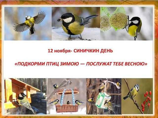 Открытка Открытки на Синичкин день - С Днем Синички! Открытка с птичками — Поздравления | Красивая открытка #1
