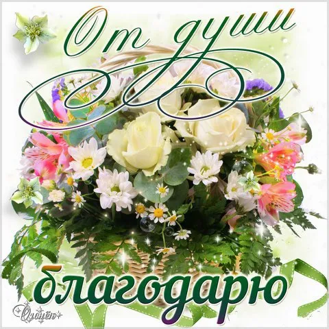 Открытка Спасибо - Букет цветов на открытке: розы, ромашки, зелень. | Красивая открытка #5