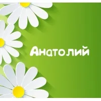 Открытка открытки с именем Анатолий - Открытка с ромашками и надписью "Анатолий" | Красивая открытка #150