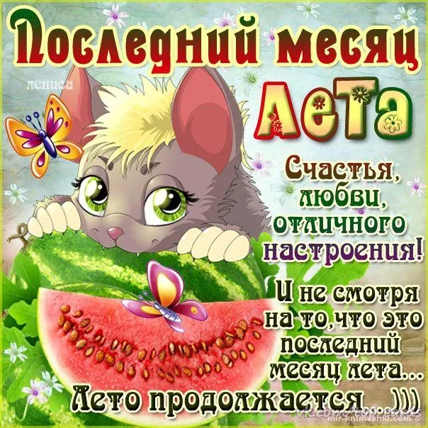 Открытка С последним днем лета! - Открытка "Котенок и арбуз": летнее настроение! | Красивая открытка #7