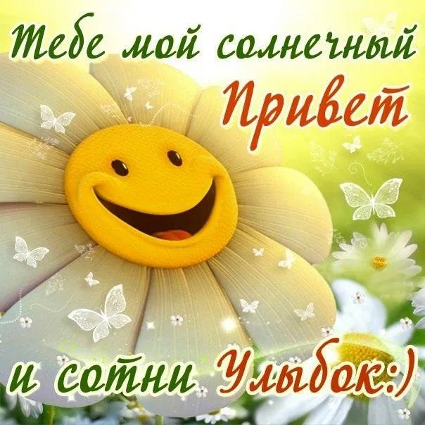 Открытка Привет - Открытка с подсолнухом и бабочками | Красивая открытка #313