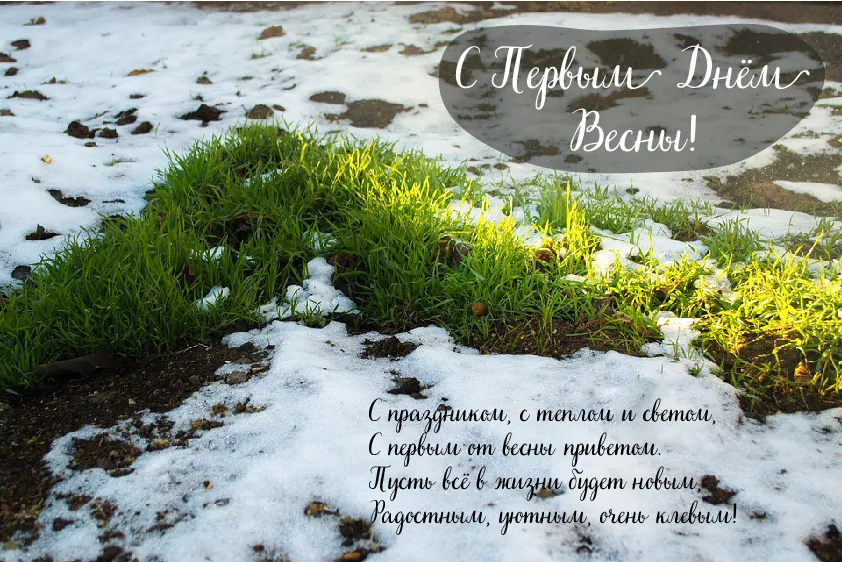Открытка Первый день весны - Первые цветы весны: открытка с подснежниками | Красивая открытка #16