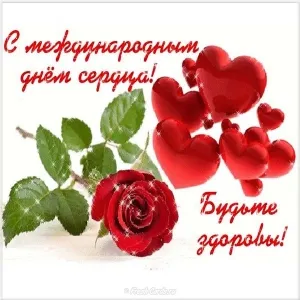 Открытка Открытки с днем сердца - Открытка с красной розой и сердцами | Красивая открытка #11