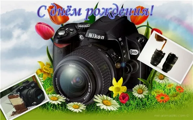 Открытка Открытки с днем фотографа - Открытка с фотокамерой Nikon и тюльпанами | Красивая открытка #28