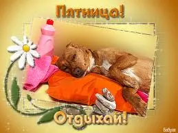 Открытка Открытки на пятницу - Отдыхающий щенок на подушке: открытка с милым щенком | Красивая открытка #102