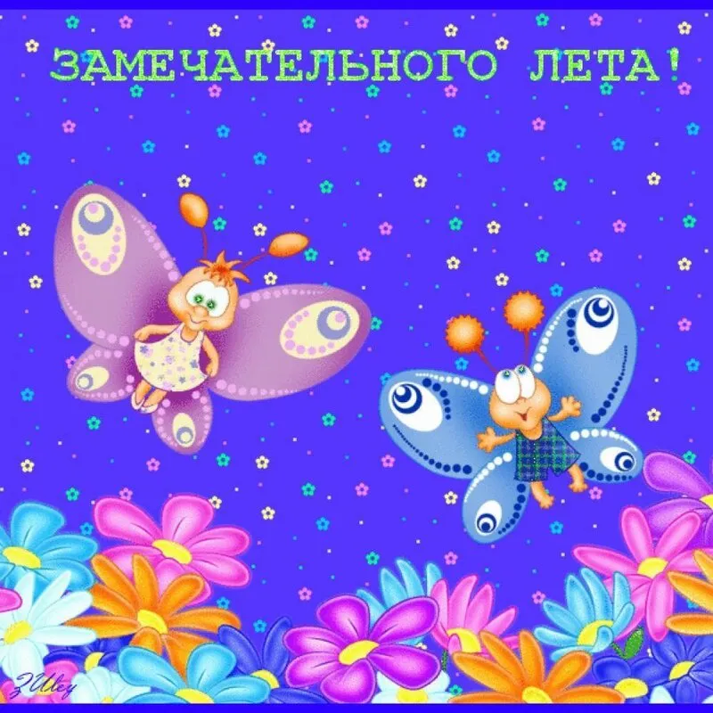 Открытка времена года - Открытка с бабочкой и цветами | Красивая открытка #22