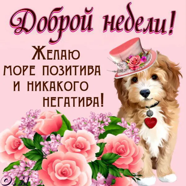 Открытка Хорошей недели - Открытка с щенком в шляпе и цветах | Красивая открытка #107