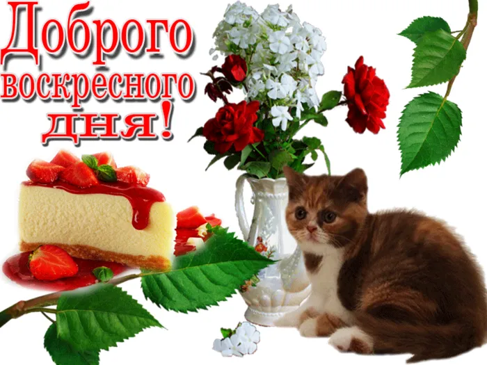 Открытка Открытки на воскресенье - Открытка: котенок, торт, цветы | Красивая открытка #102