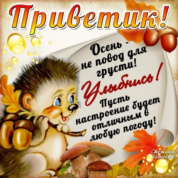 Открытка осенний привет - Осенняя открытка: грибы, листики, природа  Снежана Ланеева | Красивая открытка #9