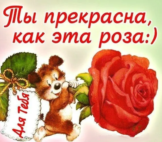 Открытка Ты прекрасна - Открытка с милым мишкой и красной розой | Красивая открытка #14
