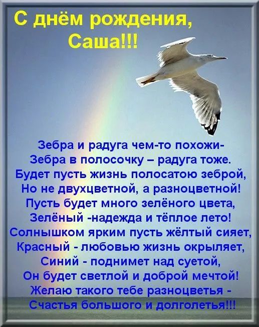 Открытка открытки с именем Александр - С Днем Рождения! Яркая открытка с зеброй | Красивая открытка #289
