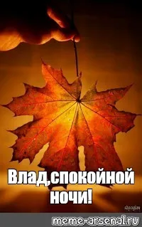 Открытка открытки с именем Владислав  - Осенний лист на ладони - открытка с добрым вечером | Красивая открытка #131