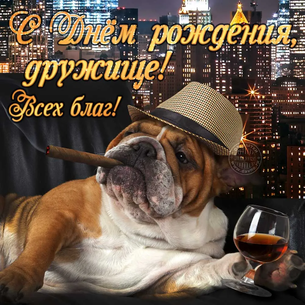 Открытка с днём рождения для мужчины - Собака с бокалом вина: поздравления с днем рождения | Красивая открытка #45