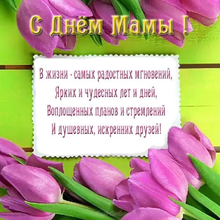Открытка День матери - С Днём Мамы! Душевные поздравления с цветами | Красивая открытка #14