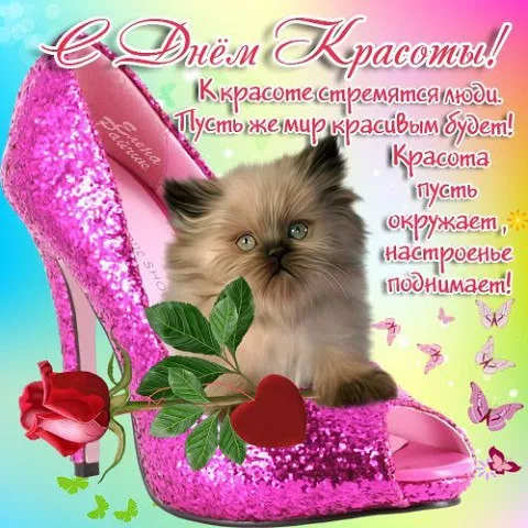 Открытка С днём красоты - Поздравление с котенком и туфлей | Красивая открытка #37