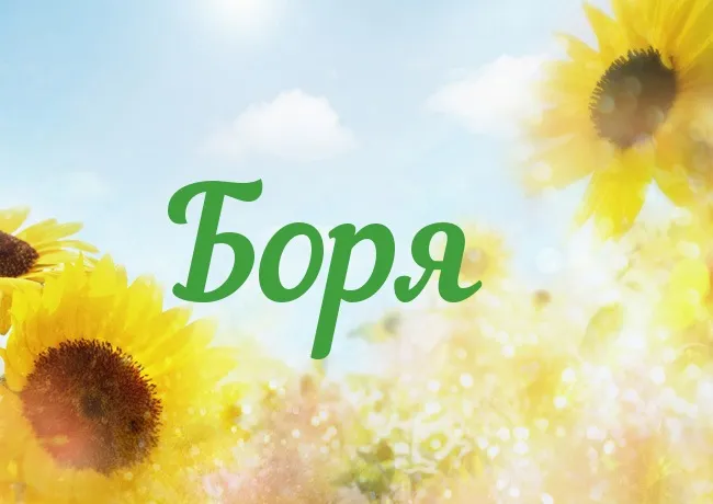 Открытка открытки с именем Борис - Открытка с подсолнухами на фоне голубого неба | Красивая открытка #97