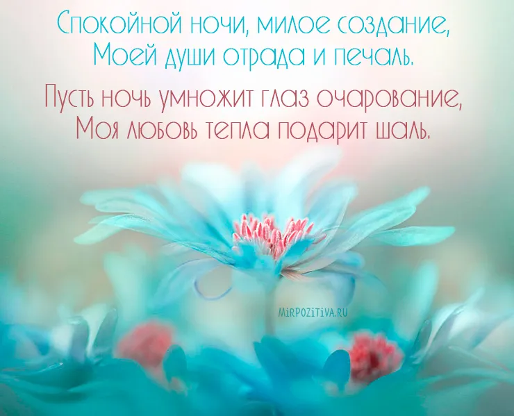 Открытка Доброй ночи - Нежные цветы на бирюзовом фоне - открытка | Красивая открытка #103