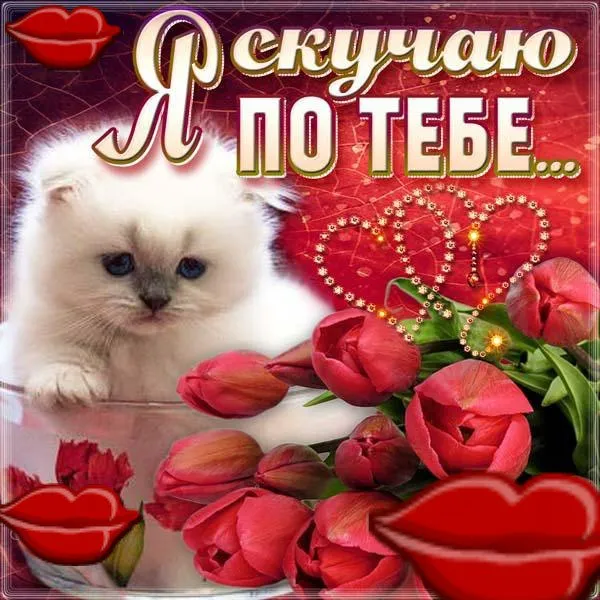 Открытка Скучаю - Открытка с котенком и розами | Красивая открытка #6