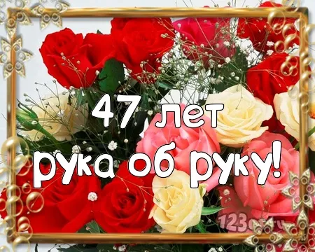 Открытка Открытки на Кашемировую/Шерстяную свадьбу 47 лет - Открытка с цветами: розы, 47 лет | Красивая открытка #32