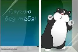 Открытка Открытки скучаю по тебе - Открытка с чёрным котом в белых лапках | Красивая открытка #169