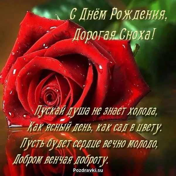 Открытка С днём рождения сноха - Поздравление с Днем: Красные розы на открытке | Красивая открытка #3