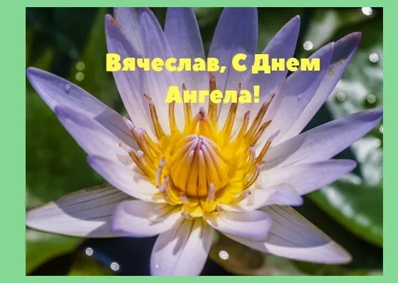 Открытка открытки с именем Вячеслав - Лилии: нежная красота для открытки | Красивая открытка #126