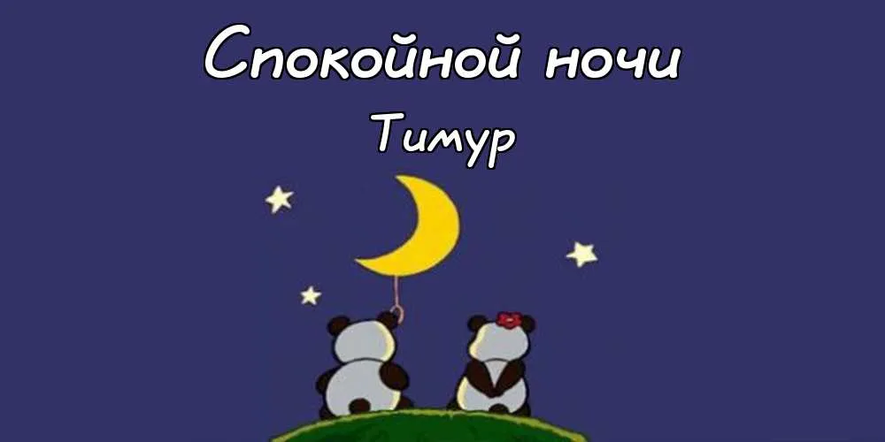 Открытка Открытки с именем Тимур - Открытка с пандами под луной: Милая поздравительная картинка | Красивая открытка #213