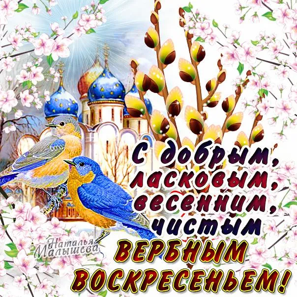Открытка Вербное Воскресенье - Открытка с синей птицей и цветущей сакурой | Красивая открытка #316