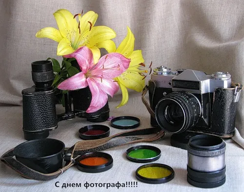 Открытка Открытки с днем фотографа - Открытка с фотоаппаратом и лилиями | Красивая открытка #23