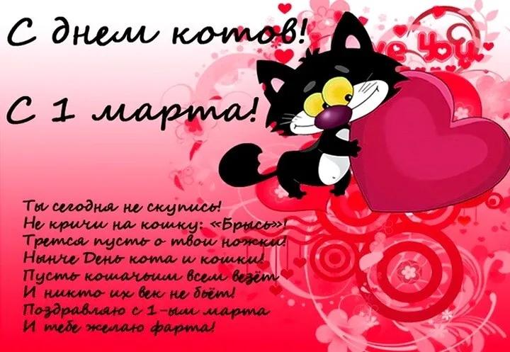 Открытка С Всемирным днём кошек - С Днём Кота! Открытка с милым котом | Красивая открытка #42