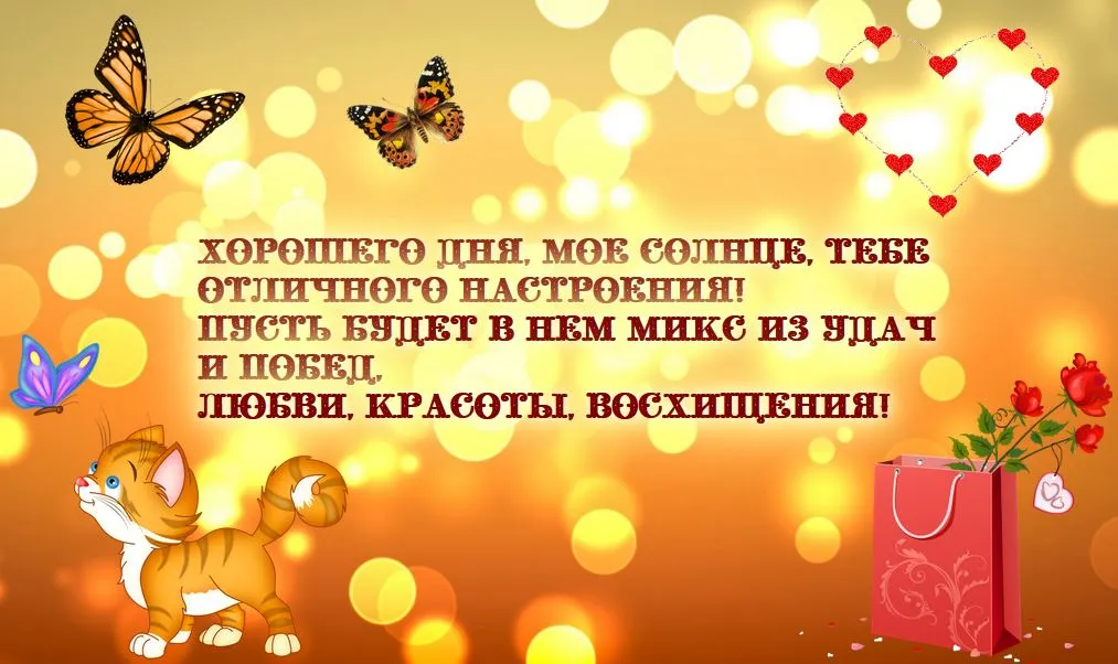 Открытка Пожелания любимым - Открытка с котенком, бабочками и цветами | Красивая открытка #15