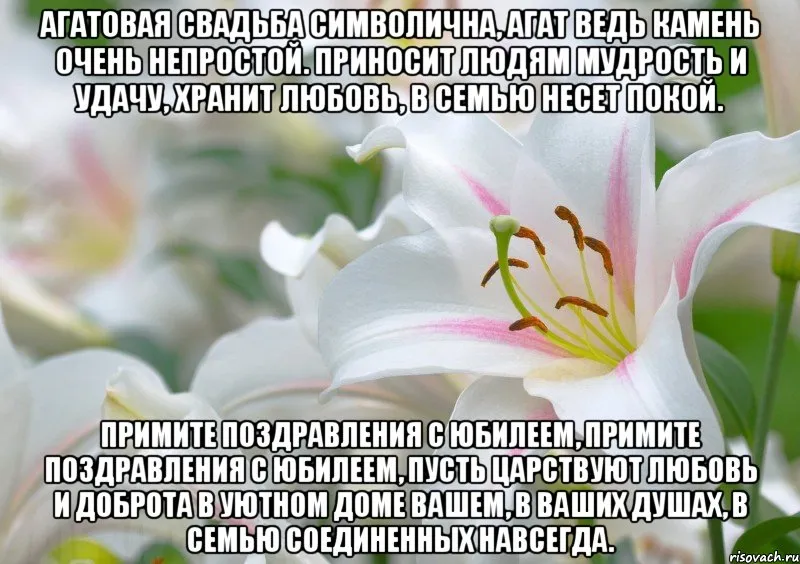 Открытка Открытки на Агатовую свадьбу 14 лет - Открытка с лилиями: поздравления и пожелания | Красивая открытка #2