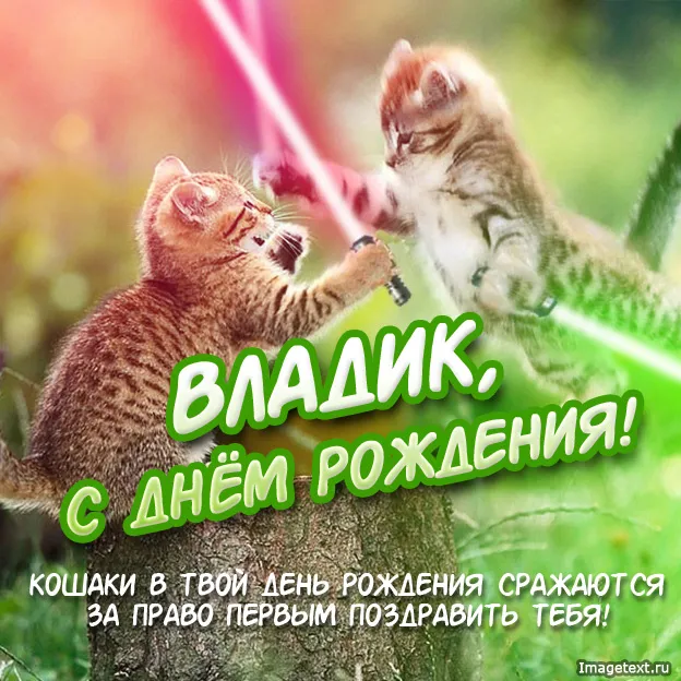 Открытка открытки с именем Владислав  - С Днем Рождения! Открытка с котятами  Изображение | Красивая открытка #267